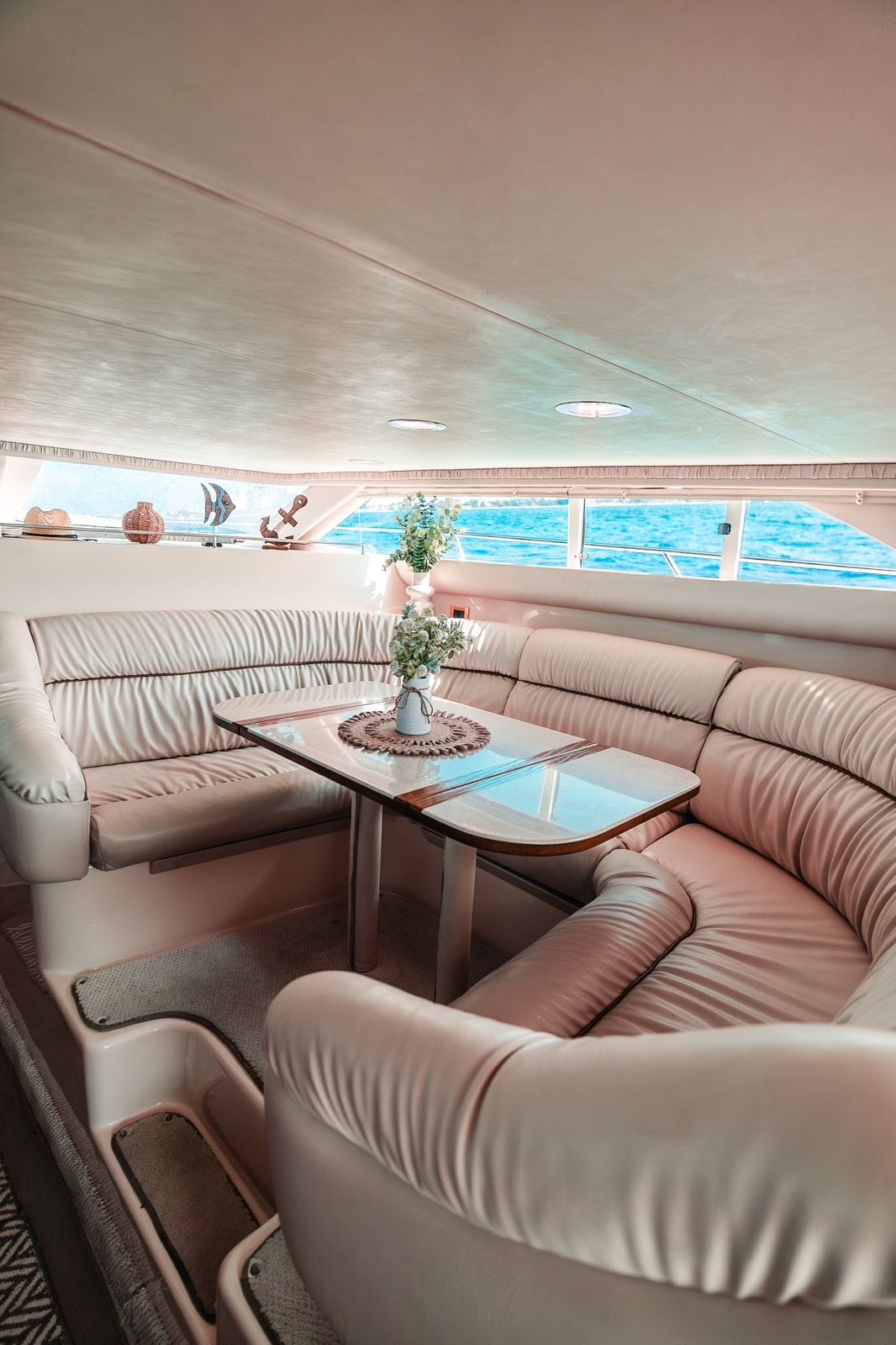 Sea Monkey yacht experience