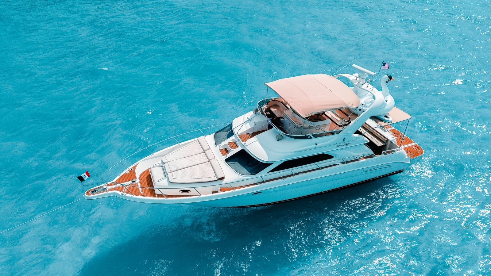 Sea Monkey Cancun Yacht Rental Sea Ray Flybridge 50